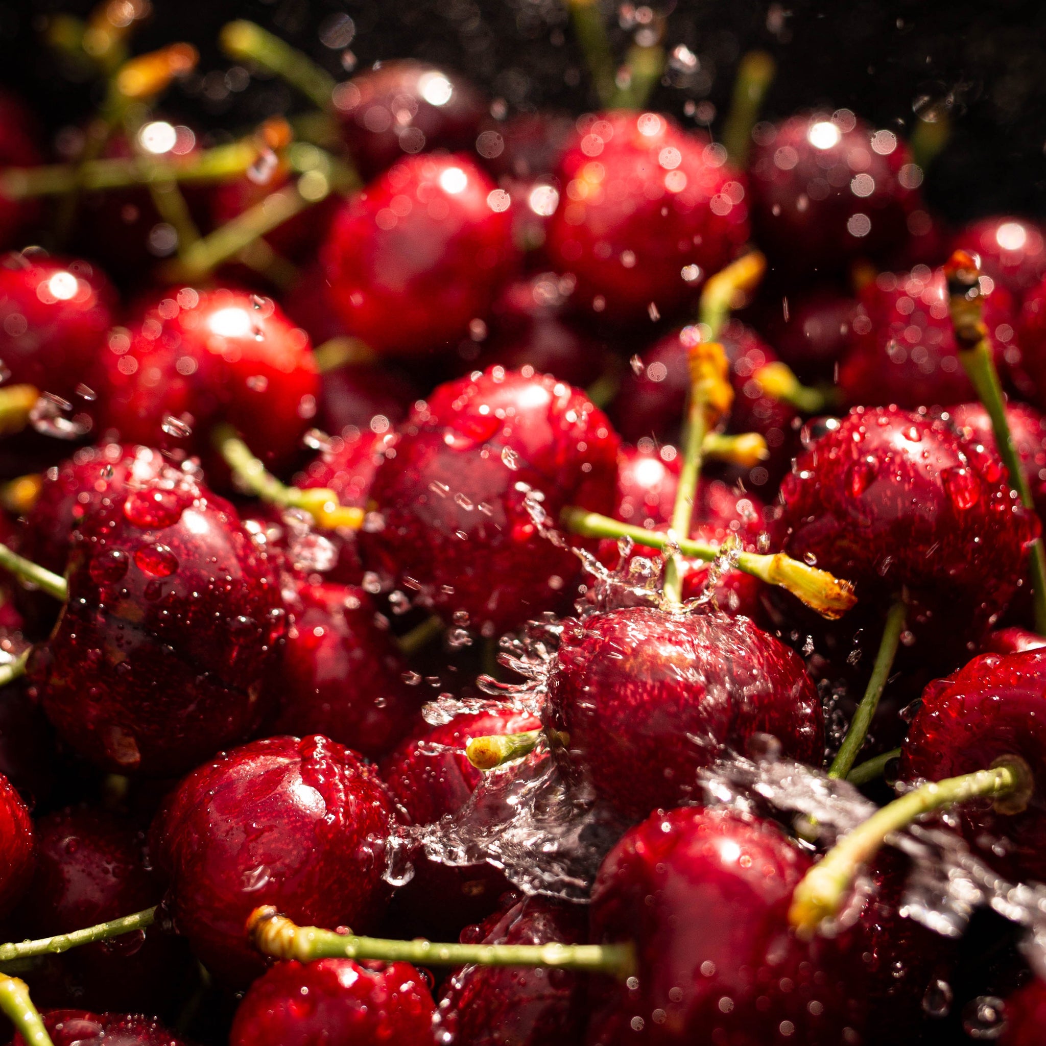 12KG Central Otago Cherries - 28MM+ or larger. (6 x 2KG Boxes)