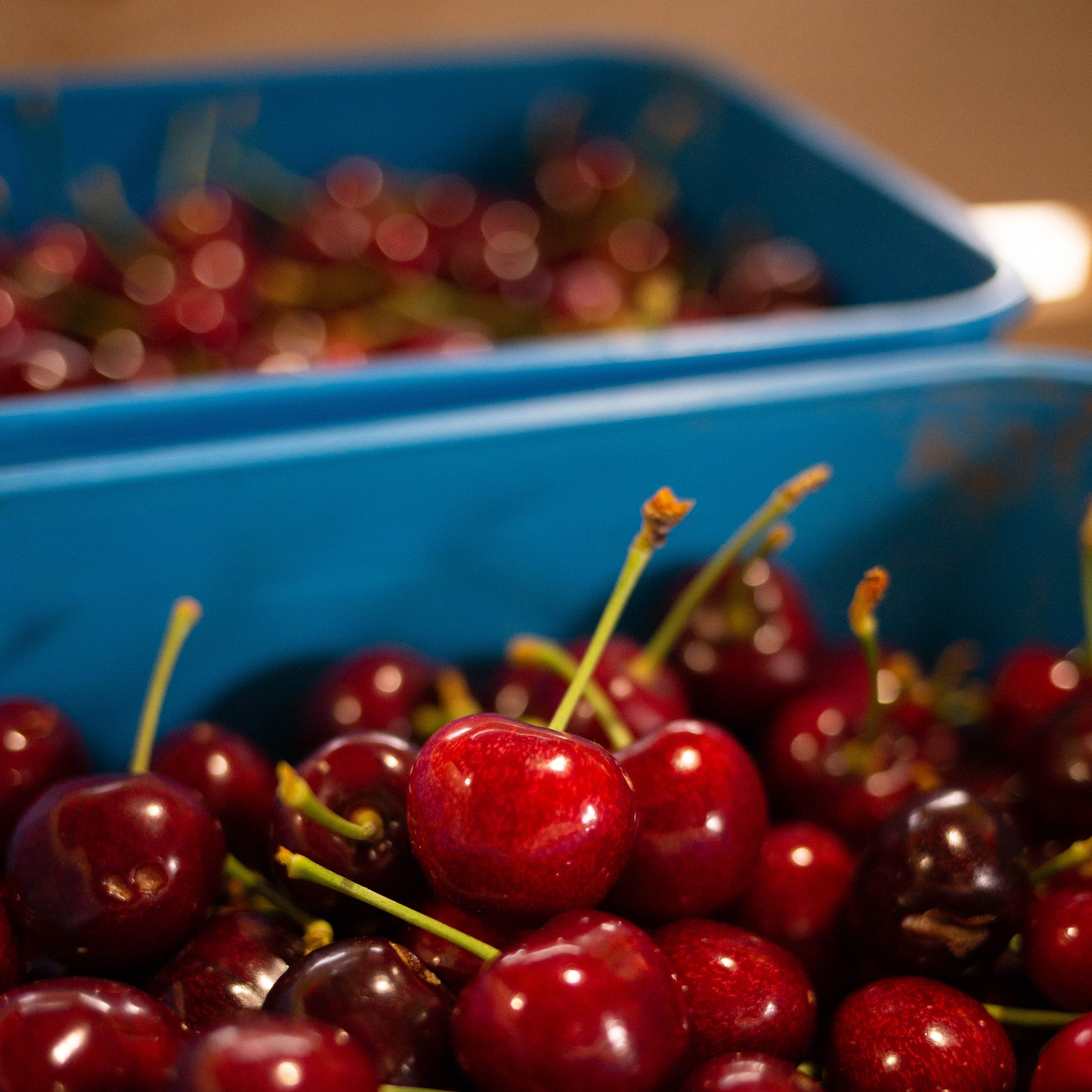 2KG Central Otago Cherries. 28MM+ or larger.