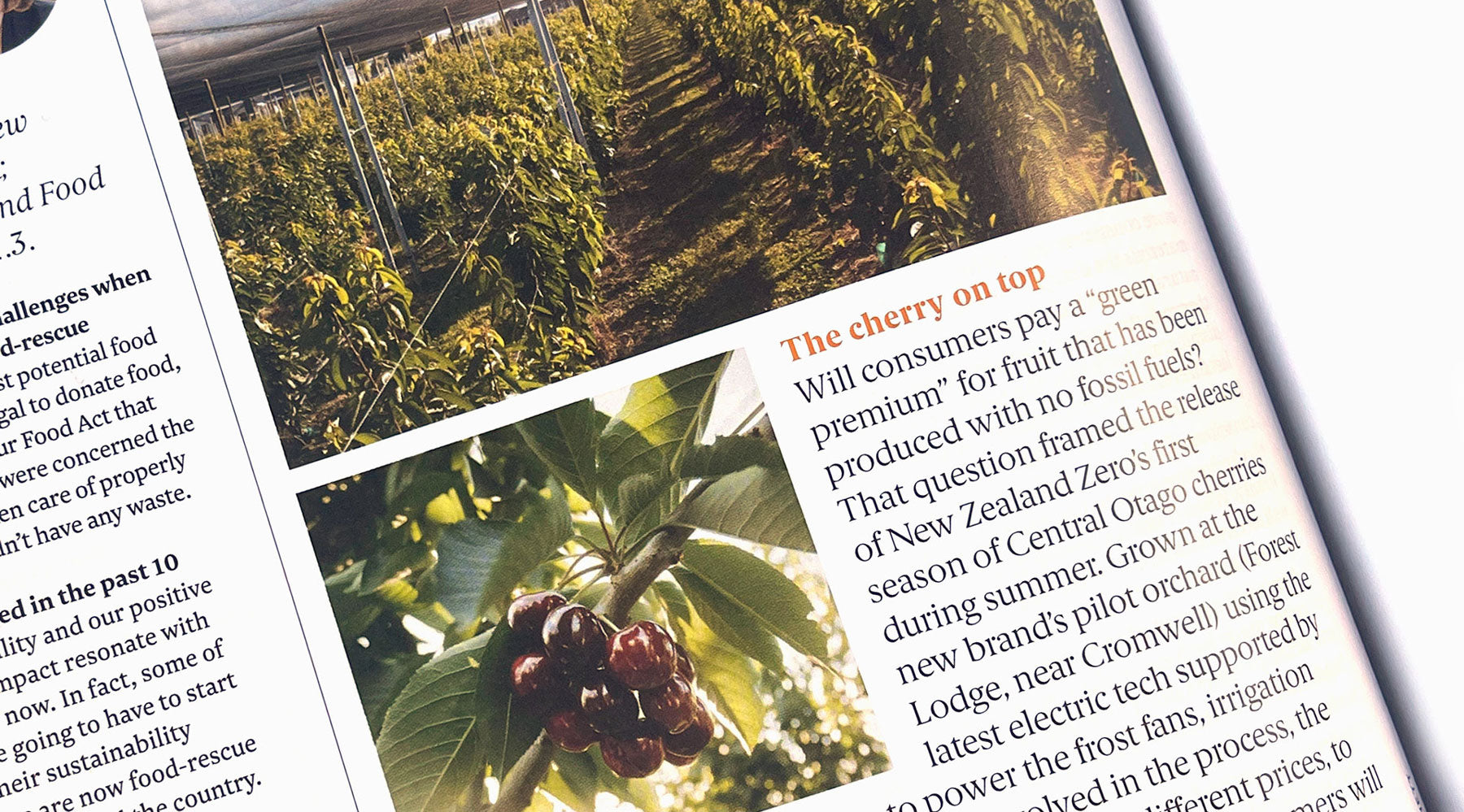 'The cherry on top' - NZ0 featured in Kia Ora magazine, Air New Zealand's inflight magazine.