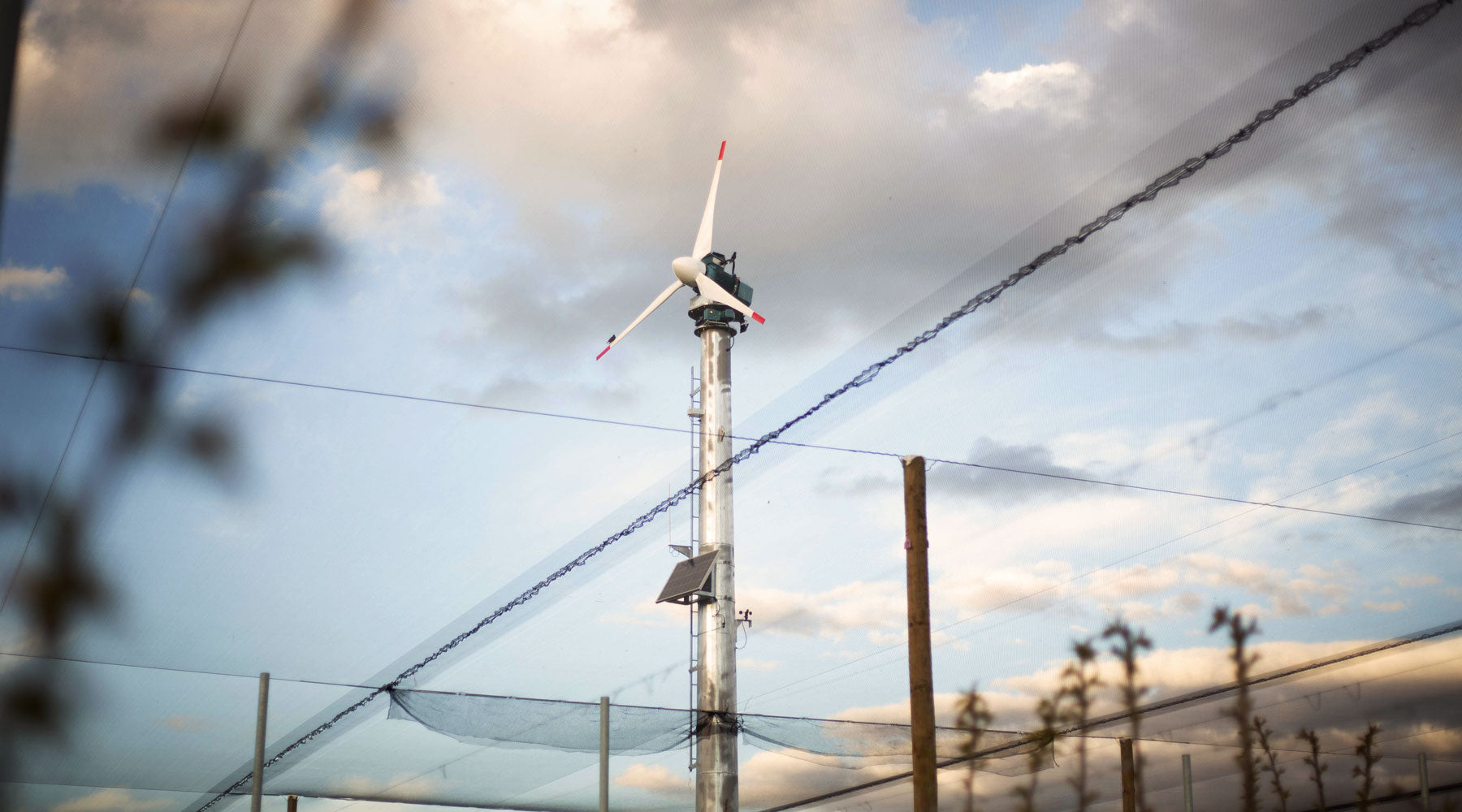 A roaring success, NZ's first electric frost fans.